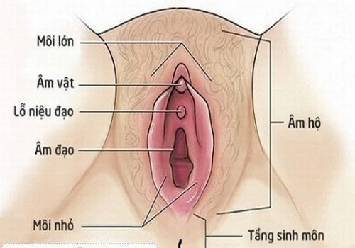 Trẻ hóa vùng kín: Đâu là phương pháp phù hợp cho chị em?